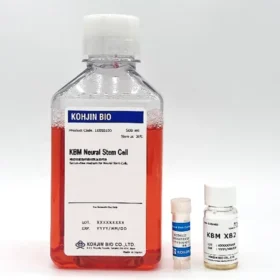 Neural Stem Cell Media 500ml