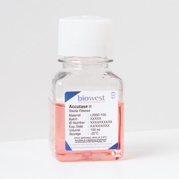Accutase - 100ml
