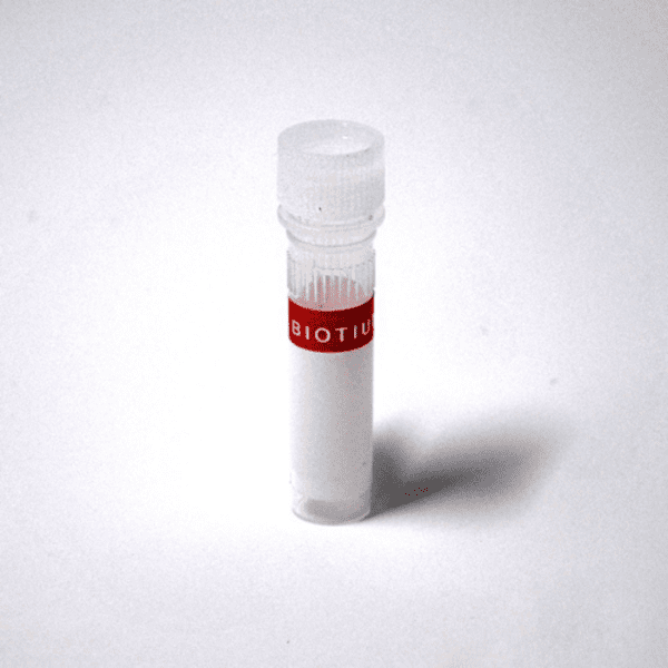 Ethidium Homodimer I (EthD-I) - Image 2