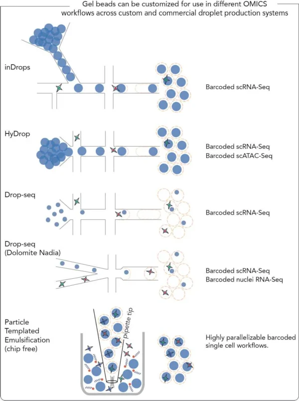 Diagram showing gel bead compatibility with droplet-based single-cell sequencing workflows including inDrops, HyDrop, Drop-seq, Dolomite Nadia, and Particle Templated Emulsification. Each setup generates barcoded droplets for scRNA-seq, scATAC-seq, or nuclei RNA-seq.