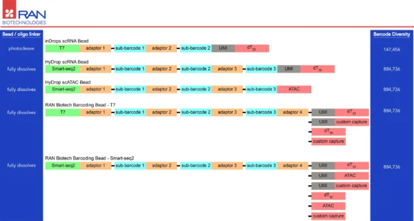 Comparison of oligo linker structures on RAN Biotech barcoding beads used for inDrops, HyDrop, and Smart-seq2 workflows. Shows barcode configurations, capture sequences, and barcode diversity values up to 884,736.