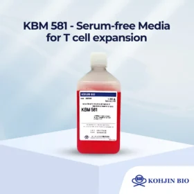 KBM 581 - Serum-free Media for T cell expansion