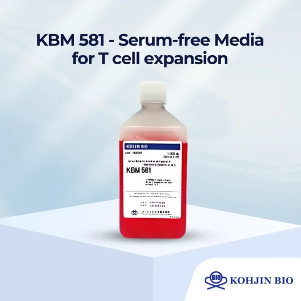 KBM 581 - Serum-free Media for T cell expansion