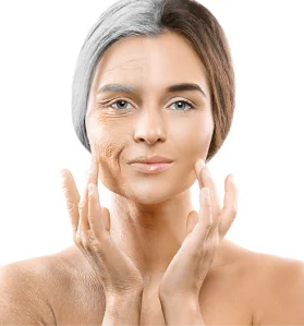 skin 1
