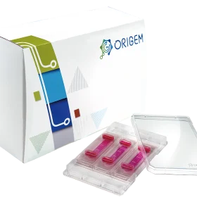 CellGem 单细胞分离和培养微流体载玻片