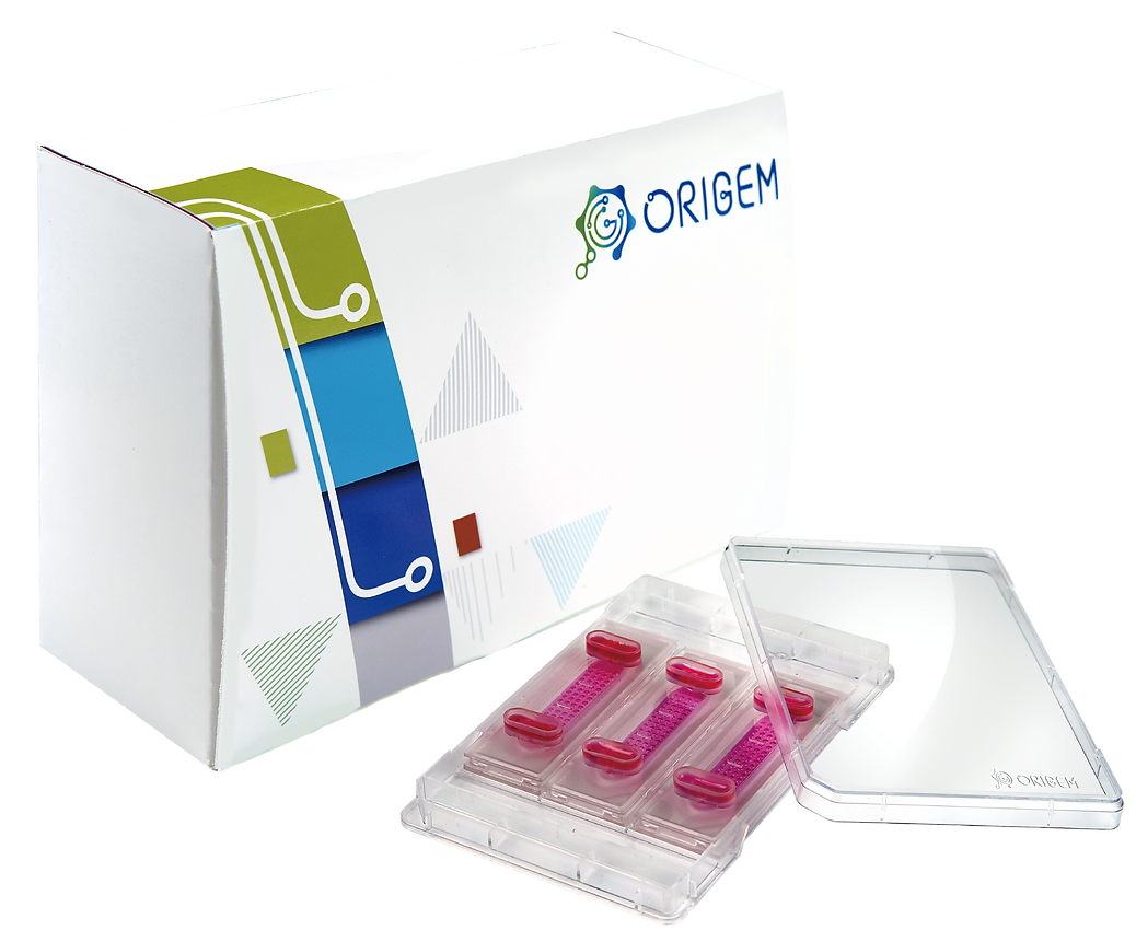 使用CellGem 單細胞平台加速您的發現