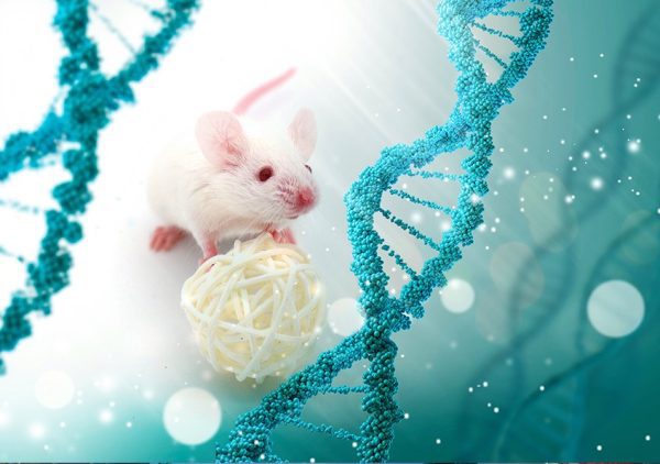 Transgenic Mice for in vivo Genome Modification - Image 2