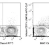 APC-Cyanine7 Anti-Mouse CD11c (N418)