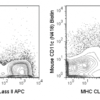 Biotin Anti-Mouse CD11c (N418)