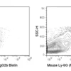 Biotin Anti-Mouse Ly-6G (Gr-1) (RB6-8C5)