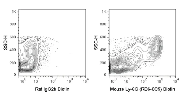 Biotin Anti-Mouse Ly-6G (Gr-1) (RB6-8C5)