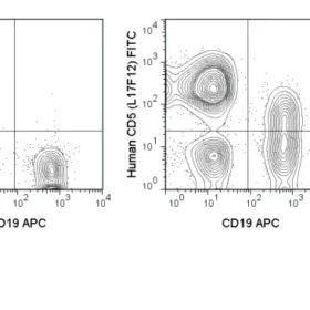 FITC Anti-Human CD5 (L17F12)
