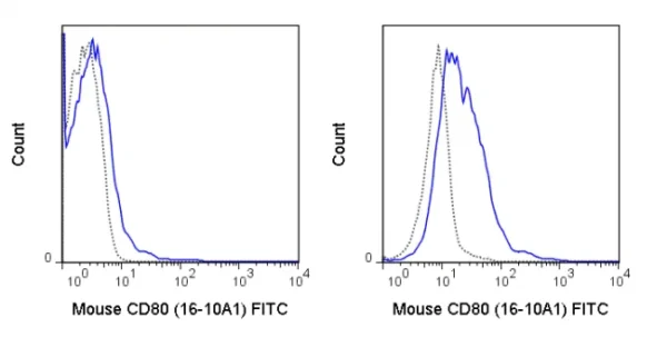 FITC Anti-Mouse CD80 (B7-1) (16-10A1)