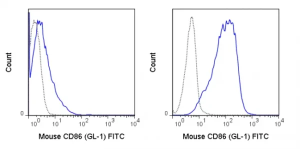 FITC Anti-Mouse CD86 (B7-2) (GL-1)