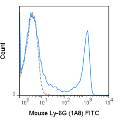 FITC Anti-Mouse Ly-6G (1A8)