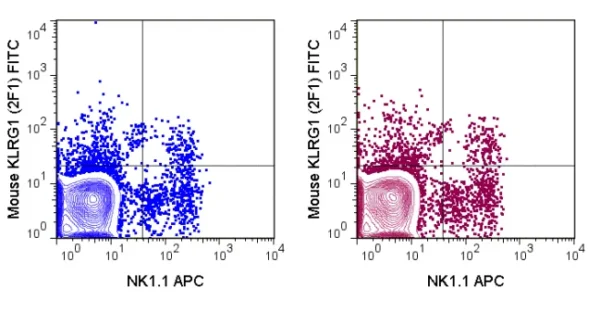 FITC Anti-Mouse KLRG1 (2F1) - Image 2