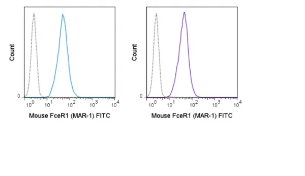 FITC Anti-Mouse Fc epsilon Receptor I alpha (FceR1) (MAR-1) - Image 2