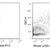 FITC Anti-Mouse Ly-6G (Gr-1) (RB6-8C5)
