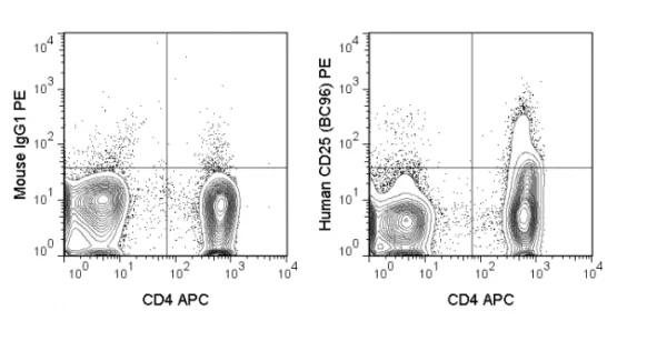 PE Anti-Human CD25 (BC96)