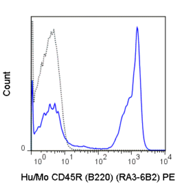 PE Anti-Human/Mouse CD45R (B220) (RA3-6B2)