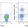 PE Anti-Human CD56 (NCAM) (MY31)
