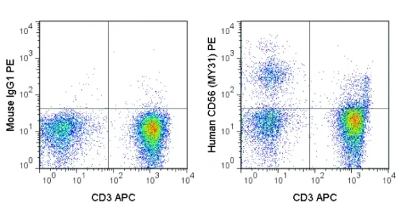 PE Anti-Human CD56 (NCAM) (MY31)