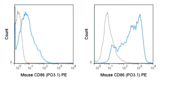 PE Anti-Mouse CD86 (B7-2) (PO3.1)
