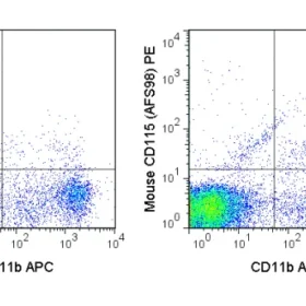 PE Anti-Mouse CD115 (c-fms) (AFS98)