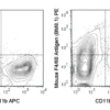 PE Anti-Mouse F4/80 Antigen (BM8.1)