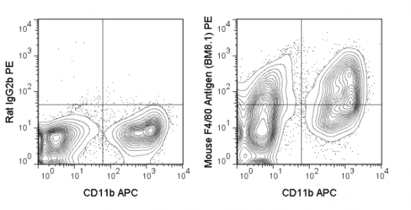 PE Anti-Mouse F4/80 Antigen (BM8.1)