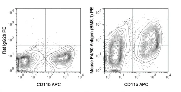 PE Anti-Mouse F4/80 Antigen (BM8.1)