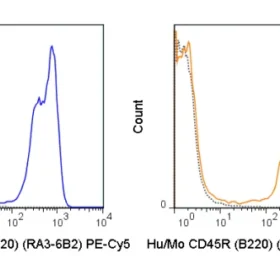 PE-Cyanine5 Anti-Human/Mouse CD45R (B220) (RA3-6B2)