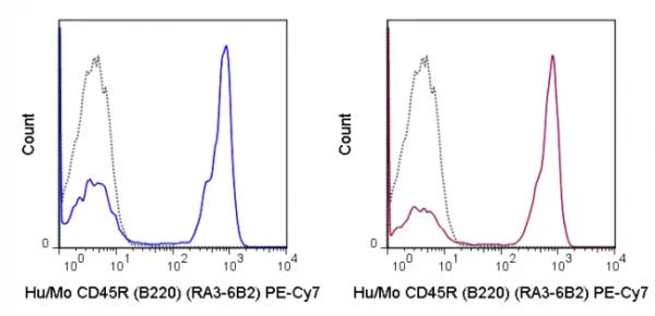 PE-Cyanine7 Anti-Human/Mouse CD45R (B220) (RA3-6B2) - Image 2