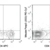 PE-Cyanine7 Anti-Mouse Foxp3 (3G3)