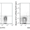 PerCP-Cyanine5.5 Anti-Mouse CD25 (PC61.5)