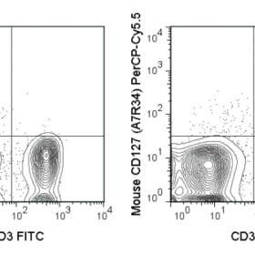 PerCP-Cyanine5.5 Anti-Mouse CD25 (PC61.5)
