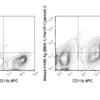 PerCP-Cyanine5.5 Anti-Mouse F4/80 Antigen (BM8.1)
