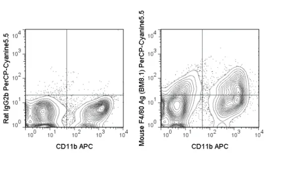 PerCP-Cyanine5.5 Anti-Mouse F4/80 Antigen (BM8.1)