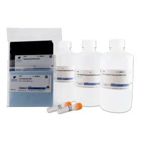 AzureSpectra Fluorescent Western Blotting Kits- with Fluorescent Block