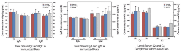 Recombinant Human Serum Albumin from Rice Grain - Image 6