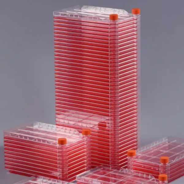 Cell Factory - Image 2