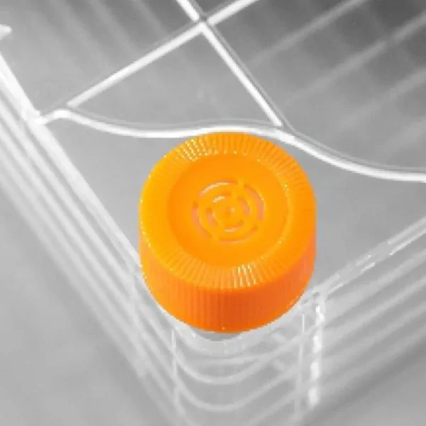 Cell Factory - Image 3