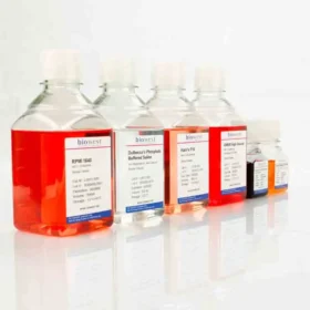 DMEM High Glucose w/ L-Glutamine w/o Sodium Pyruvate 500ml