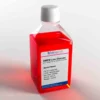 DMEM Low Glucose w/o L-Glutamine w/ Sodium Pyruvate 500ml
