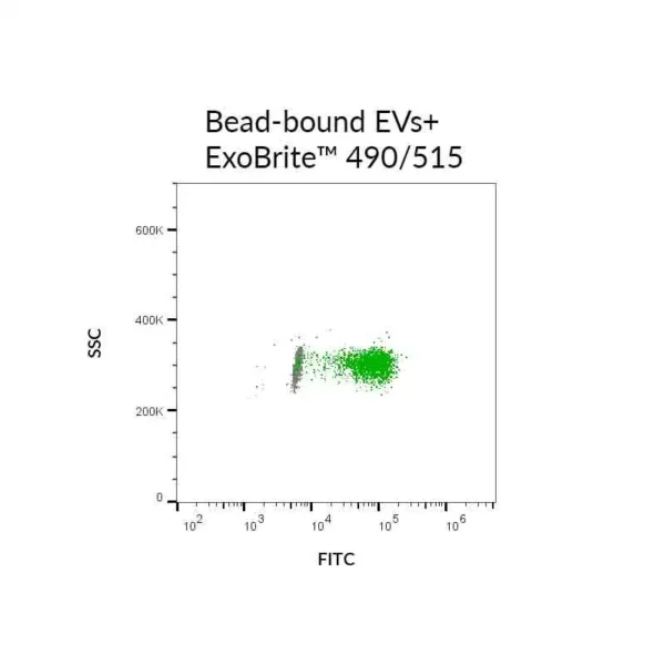 ExoBrite™ EV Membrane Staining Kits - Image 7