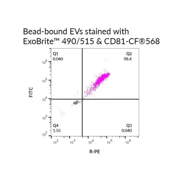 ExoBrite™ EV Membrane Staining Kits - Image 5