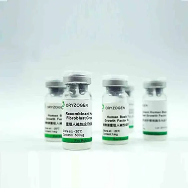 Recombinant Human Basic Fibroblast Growth Factor (OsrhbFGF)