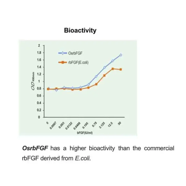 Recombinant Human Basic Fibroblast Growth Factor (OsrhbFGF) - Image 3