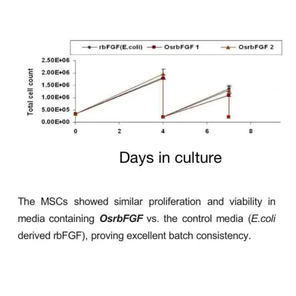 Recombinant Human Basic Fibroblast Growth Factor (OsrhbFGF) - Image 4