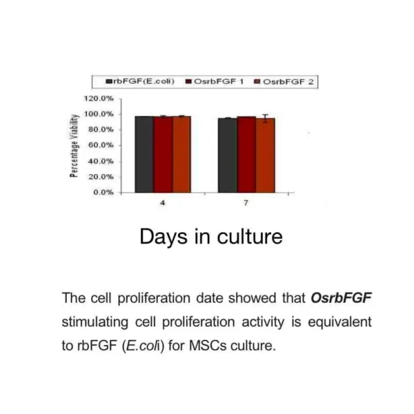 Recombinant Human Basic Fibroblast Growth Factor (OsrhbFGF) - Image 5